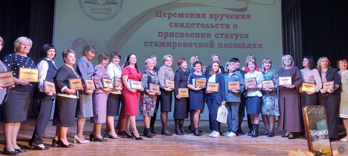 Педагогический фестиваль «Наставник в системе дошкольного образования Алтайского края» прошел в Барнауле