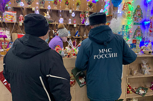 Жителям Барнаула рекомендуют покупать пиротехнику только в специализированных магазинах