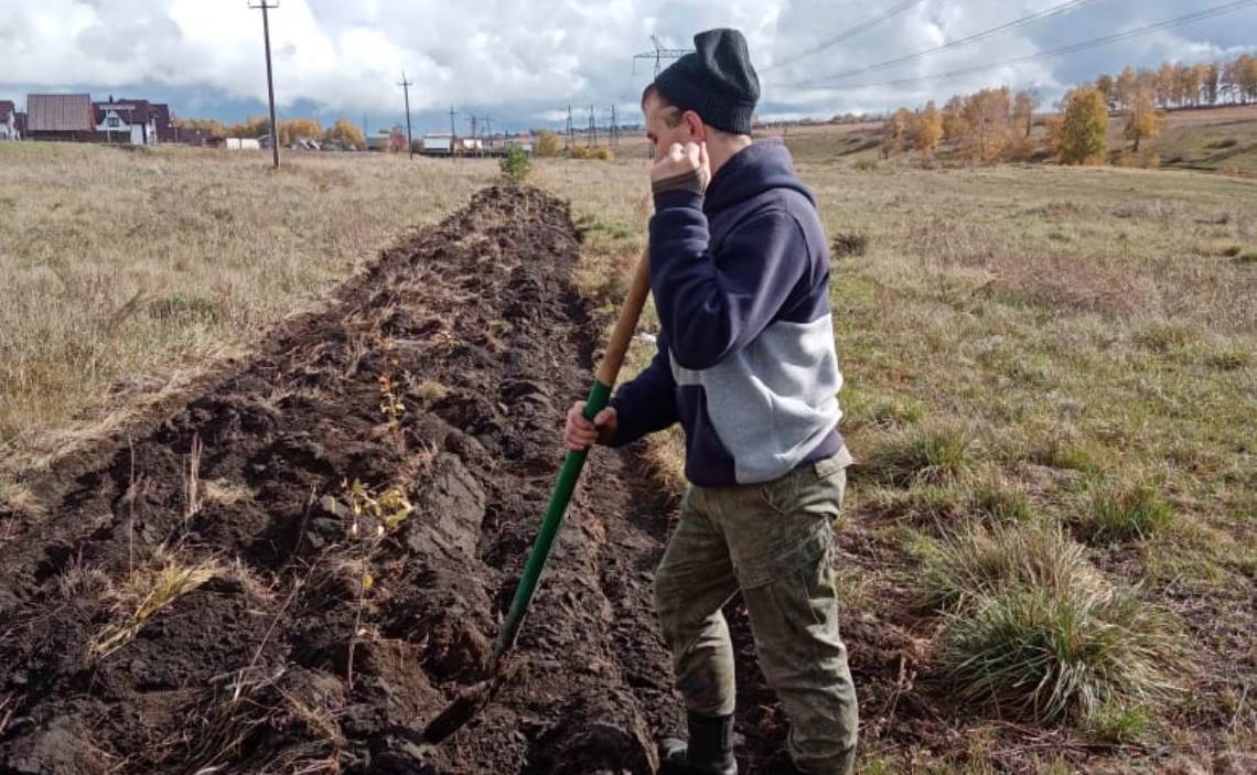 В Барнауле и пригороде продолжают посадку молодых деревьев БАРНАУЛ ::  Официальный сайт города