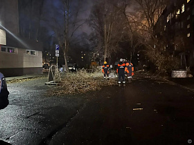 В Барнауле устраняют последствия непогоды