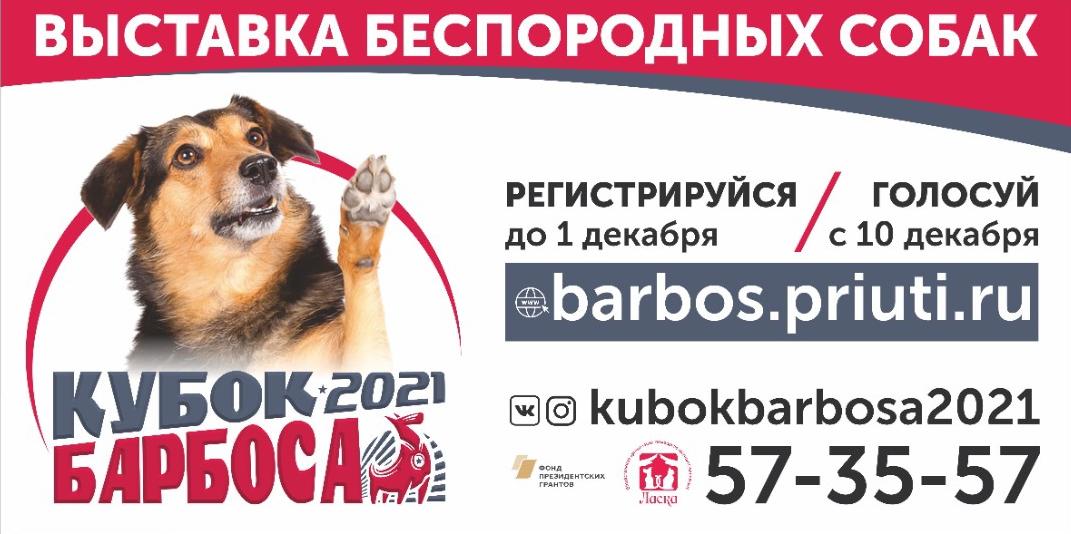 В Барнауле пройдет выставка беспородных собак «Кубок Барбоса»