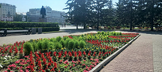 В Барнауле завершаются работы по посадке однолетних растений 