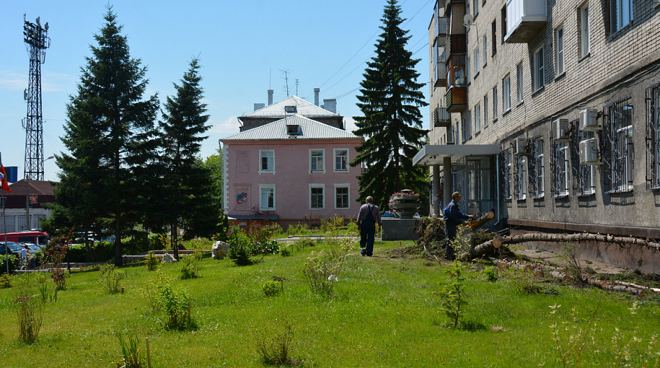 Южный поселок барнаул фото