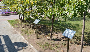 В Барнауле в сквере Десантников установили памятные таблички