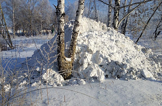 В Барнауле проводят рейды по  несанкционированным отвалам снега 