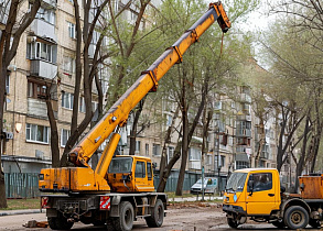 В Барнауле ведется подготовка к проведению работ по сносу и обрезке аварийных деревьев 