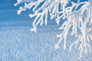 В начале декабря в Алтайском крае сохранятся сильные морозы
