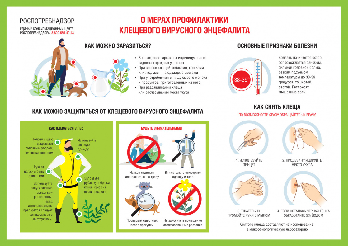 Барнаульцам напоминают о мерах профилактики клещевого вирусного энцефалита