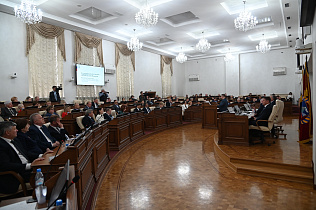 Алтайский край представил сенаторам РФ практики работы органов публичной власти с институтами гражданского общества 