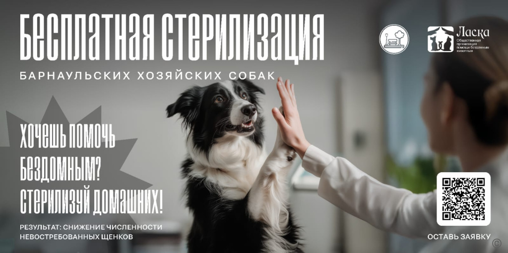Приют «Ласка» продолжает бесплатную стерилизацию собак в рамках гранта