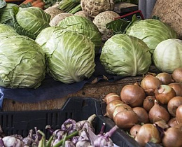 В Барнауле начинается сезон продуктовых ярмарок 