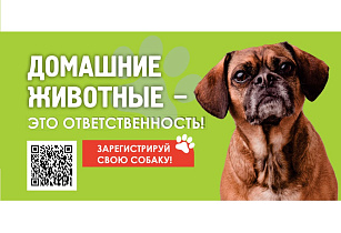 Мобильные пункты выездной регистрации животных продолжают работать в пригороде Барнаула