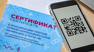 Система QR-кодов вводится в Алтайском крае 