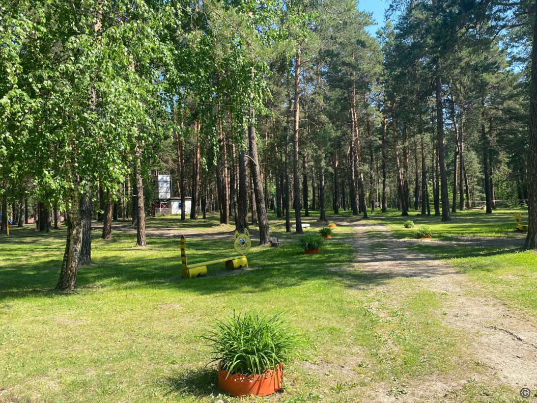 В Барнауле продолжается приемка детских загородных лагерей БАРНАУЛ ::  Официальный сайт города