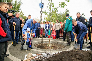 В День города в Барнауле высадили Дерево дружбы