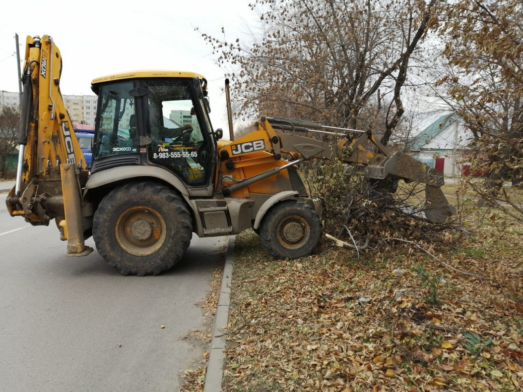 В Октябрьском районе в рамках месячника осенней санитарной очистки вывезли  63 машины мусора БАРНАУЛ :: Официальный сайт города