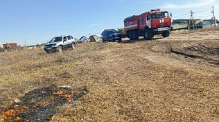 На пригородной территории района организованы мероприятия по предупреждению ландшафтных пожаров