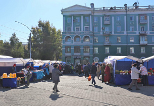 Осенние ярмарки завтра проведут в Барнауле на семи площадках 