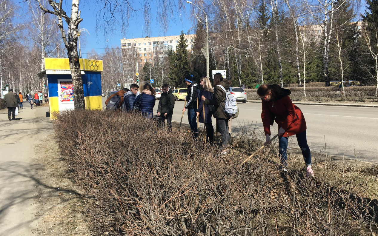 В городском субботнике приняли участие более 4000 школьников БАРНАУЛ ::  Официальный сайт города