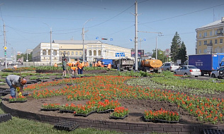 Более 33,5 тысяч цветов понадобилось для оформления клумбы на площади Октября в Барнауле