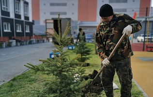Жители Барнаула присоединились к озеленению территории города