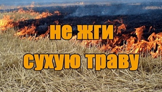 Жителям Барнаула напоминают об опасности выжигания сухой травы