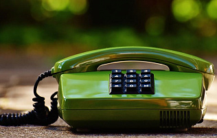 «Зеленый телефон»: барнаульцы могут сообщить об экологических правонарушениях