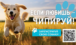 В Барнауле продолжает работу мобильный пункт выездной регистрации собак