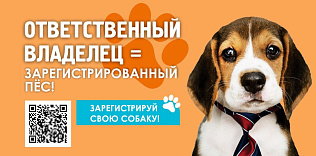 В пригорде Центрального района продолжают работать мобильные пункты выездной регистрации домашних животных 