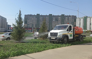 В Барнауле усилили полив деревьев и газонов