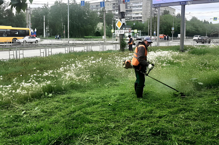 В Барнауле приступили к работам по покосу травы