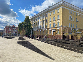 Сотню деревьев и кустарников начали высаживать в сквере Медиков на улице Чкалова