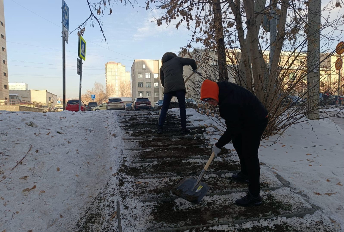 Барнаульские студенты помогают устранять гололед на пешеходных зонах БАРНАУЛ  :: Официальный сайт города