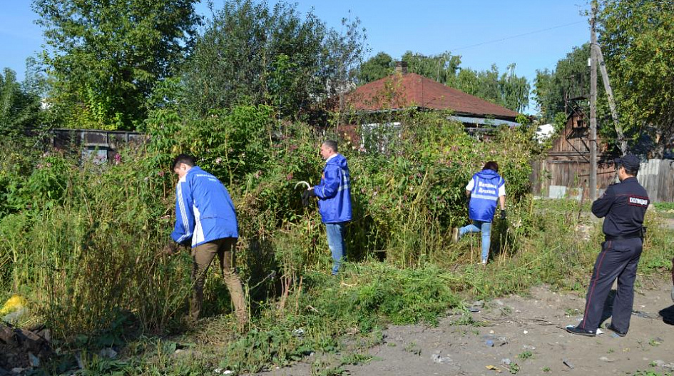 Конопля в барнауле Конопля в барнауле скачать программу браузера тор hyrda вход