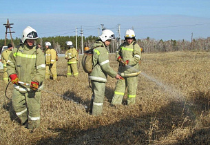 В Алтайском крае объявлен пожароопасный сезон