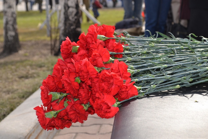 Магазин гвоздик. Магазин гвоздик. Гвоздика понтедерская. Магазин варта великие луки. Магазин гвоздик.