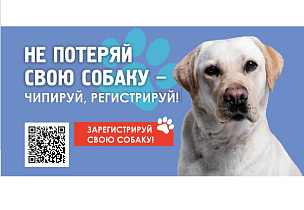 На этой неделе зарегистрировать домашних собак смогут жители поселка Новомихайловка 