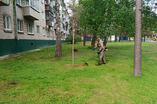 В районах Барнаула приводят в порядок зеленые уголки и клумбы