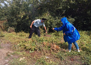 Акция по уничтожению дикорастущей конопли прошла в пригороде Ленинского района
