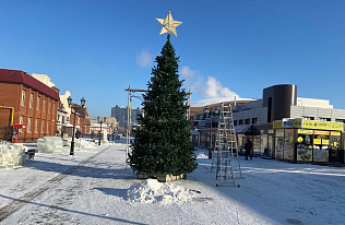 На улице Мало-Тобольской в Барнауле установили новогоднюю елку 