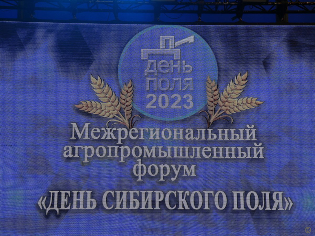 Губернатор Алтайского края Виктор Томенко открыл работу межрегионального  агрофорума «День сибирского поля» БАРНАУЛ :: Официальный сайт города