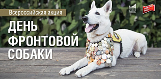 Алтайский краеведческий музей присоединится к всероссийской акции «День фронтовой собаки» 