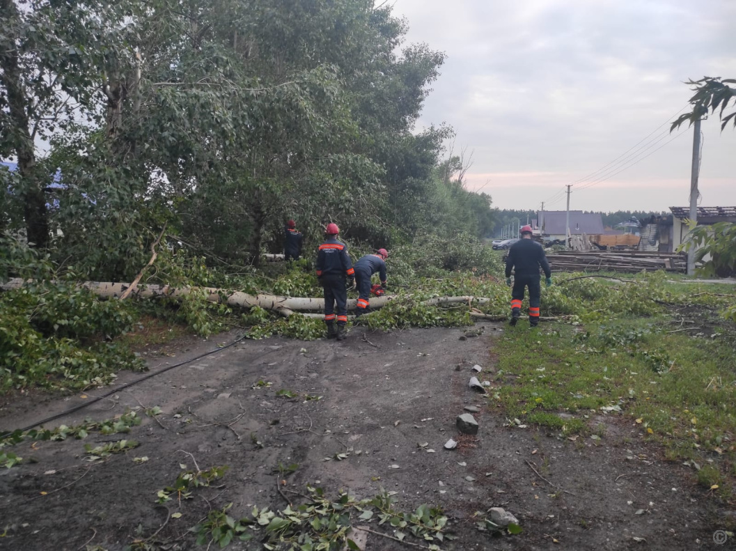 Городские службы оперативно устранили последствия непогоды в Барнауле  БАРНАУЛ :: Официальный сайт города