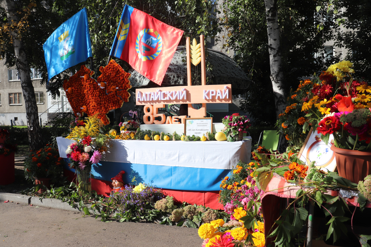 Выставка цветов, фестиваль спорта, игры и концерт: как проходит День города  в Железнодорожном районе БАРНАУЛ :: Официальный сайт города