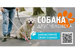 С 20 января мобильные пункты выездной регистрации собак заработают в Ленинском районе
