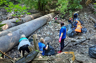 Несколько крупных свалок устранили в Барнауле волонтеры экологических отрядов