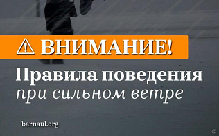 Барнаульцам напоминают правила безопасного поведения при сильном ветре 