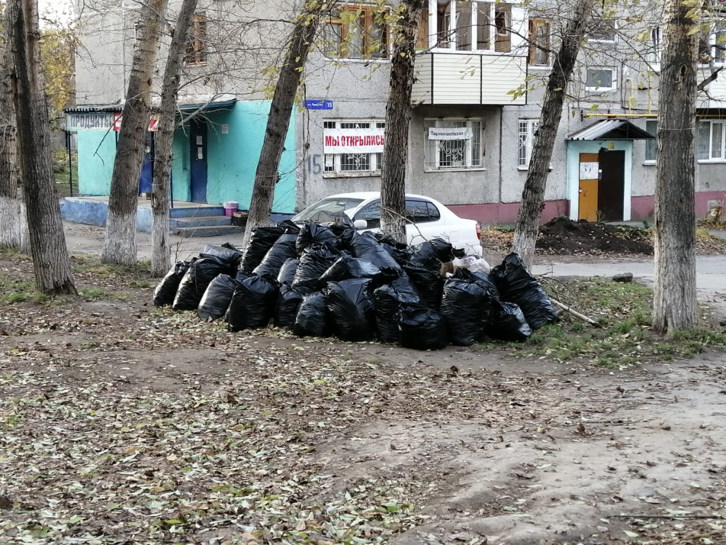 В Октябрьском районе в рамках месячника осенней санитарной очистки вывезли  63 машины мусора БАРНАУЛ :: Официальный сайт города