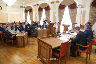 В Барнауле общественники и депутаты обсудили меры по сокращению числа бездомных животных