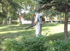 В Барнауле территории рядом с водоёмами обрабатывают от комаров